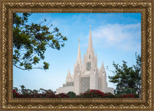 Load image into Gallery viewer, San Diego California Towering Spires