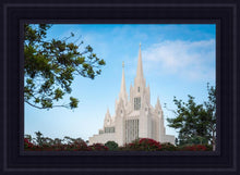 Load image into Gallery viewer, San Diego California Towering Spires