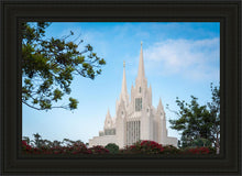 Load image into Gallery viewer, San Diego California Towering Spires
