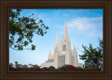 Load image into Gallery viewer, San Diego California Towering Spires