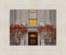 Load image into Gallery viewer, Philadelphia Holiness
