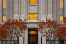 Load image into Gallery viewer, Philadelphia Holiness