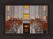 Load image into Gallery viewer, Philadelphia Holiness