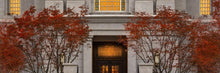 Load image into Gallery viewer, Philadelphia Holiness