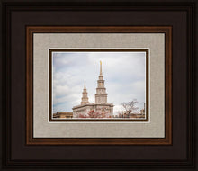 Load image into Gallery viewer, Philadelphia Freedom