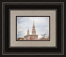 Load image into Gallery viewer, Philadelphia Freedom