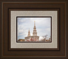 Load image into Gallery viewer, Philadelphia Freedom
