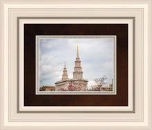 Load image into Gallery viewer, Philadelphia Freedom