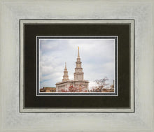 Load image into Gallery viewer, Philadelphia Freedom