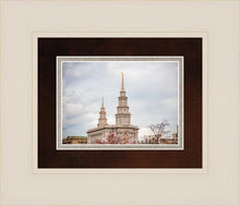 Load image into Gallery viewer, Philadelphia Freedom
