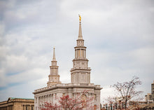 Load image into Gallery viewer, Philadelphia Freedom