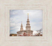 Load image into Gallery viewer, Philadelphia Freedom
