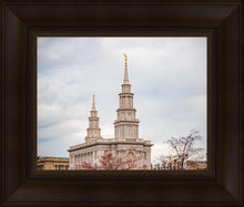 Load image into Gallery viewer, Philadelphia Freedom