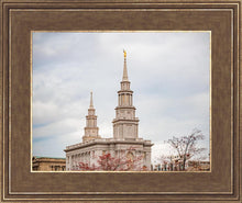 Load image into Gallery viewer, Philadelphia Freedom