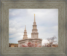 Load image into Gallery viewer, Philadelphia Freedom