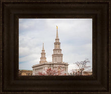 Load image into Gallery viewer, Philadelphia Freedom