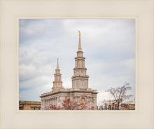Load image into Gallery viewer, Philadelphia Freedom