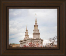 Load image into Gallery viewer, Philadelphia Freedom