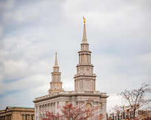 Load image into Gallery viewer, Philadelphia Freedom