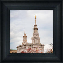 Load image into Gallery viewer, Philadelphia Freedom