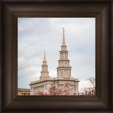 Load image into Gallery viewer, Philadelphia Freedom