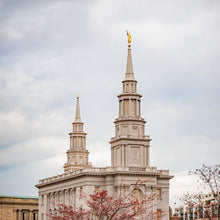 Load image into Gallery viewer, Philadelphia Freedom