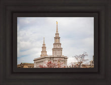 Load image into Gallery viewer, Philadelphia Freedom