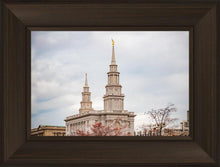 Load image into Gallery viewer, Philadelphia Freedom