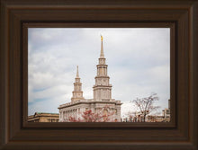 Load image into Gallery viewer, Philadelphia Freedom