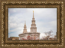Load image into Gallery viewer, Philadelphia Freedom