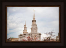 Load image into Gallery viewer, Philadelphia Freedom