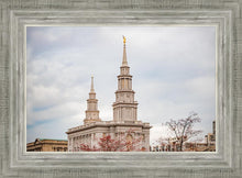 Load image into Gallery viewer, Philadelphia Freedom
