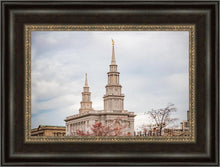Load image into Gallery viewer, Philadelphia Freedom