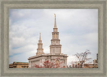 Load image into Gallery viewer, Philadelphia Freedom