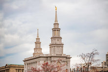 Load image into Gallery viewer, Philadelphia Freedom