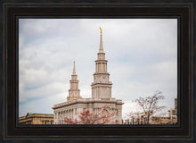 Load image into Gallery viewer, Philadelphia Freedom