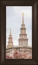 Load image into Gallery viewer, Philadelphia Freedom