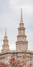 Load image into Gallery viewer, Philadelphia Freedom