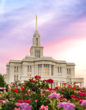 Load image into Gallery viewer, Payson Utah Tiptoe Through The Roses