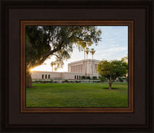 Load image into Gallery viewer, Mesa Arizona Shining On