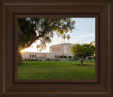 Load image into Gallery viewer, Mesa Arizona Shining On
