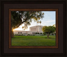 Load image into Gallery viewer, Mesa Arizona Shining On