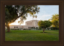 Load image into Gallery viewer, Mesa Arizona Shining On