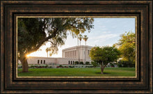 Load image into Gallery viewer, Mesa Arizona Shining On