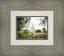 Load image into Gallery viewer, Phoenix Spring Blooms
