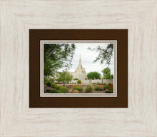 Load image into Gallery viewer, Phoenix Spring Blooms