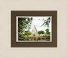 Load image into Gallery viewer, Phoenix Spring Blooms