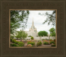 Load image into Gallery viewer, Phoenix Spring Blooms