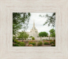 Load image into Gallery viewer, Phoenix Spring Blooms