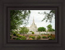 Load image into Gallery viewer, Phoenix Spring Blooms